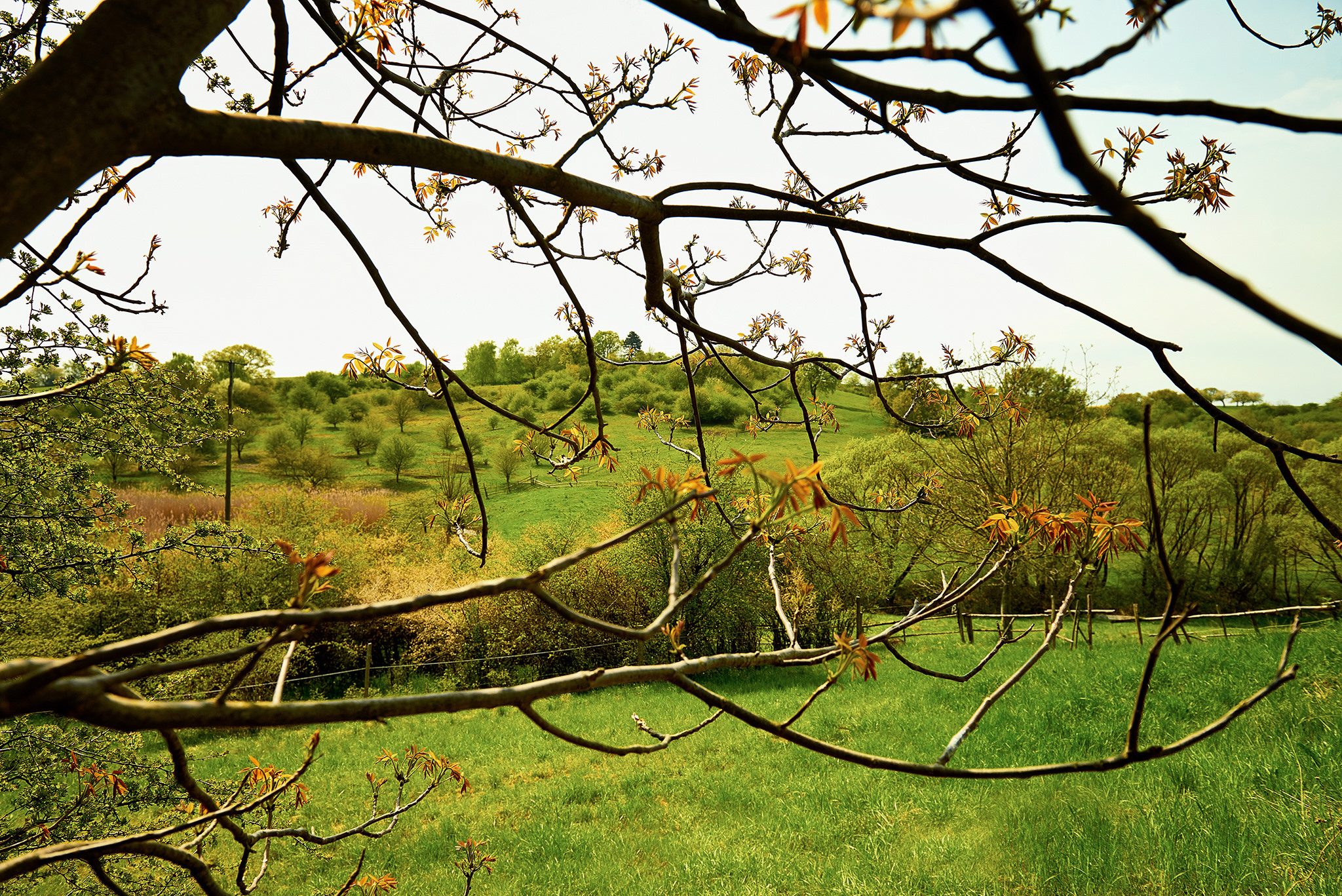 Projekt – „Am Eulenweg durch die Naturparkgemeinden Rosalia-Kogelberg“