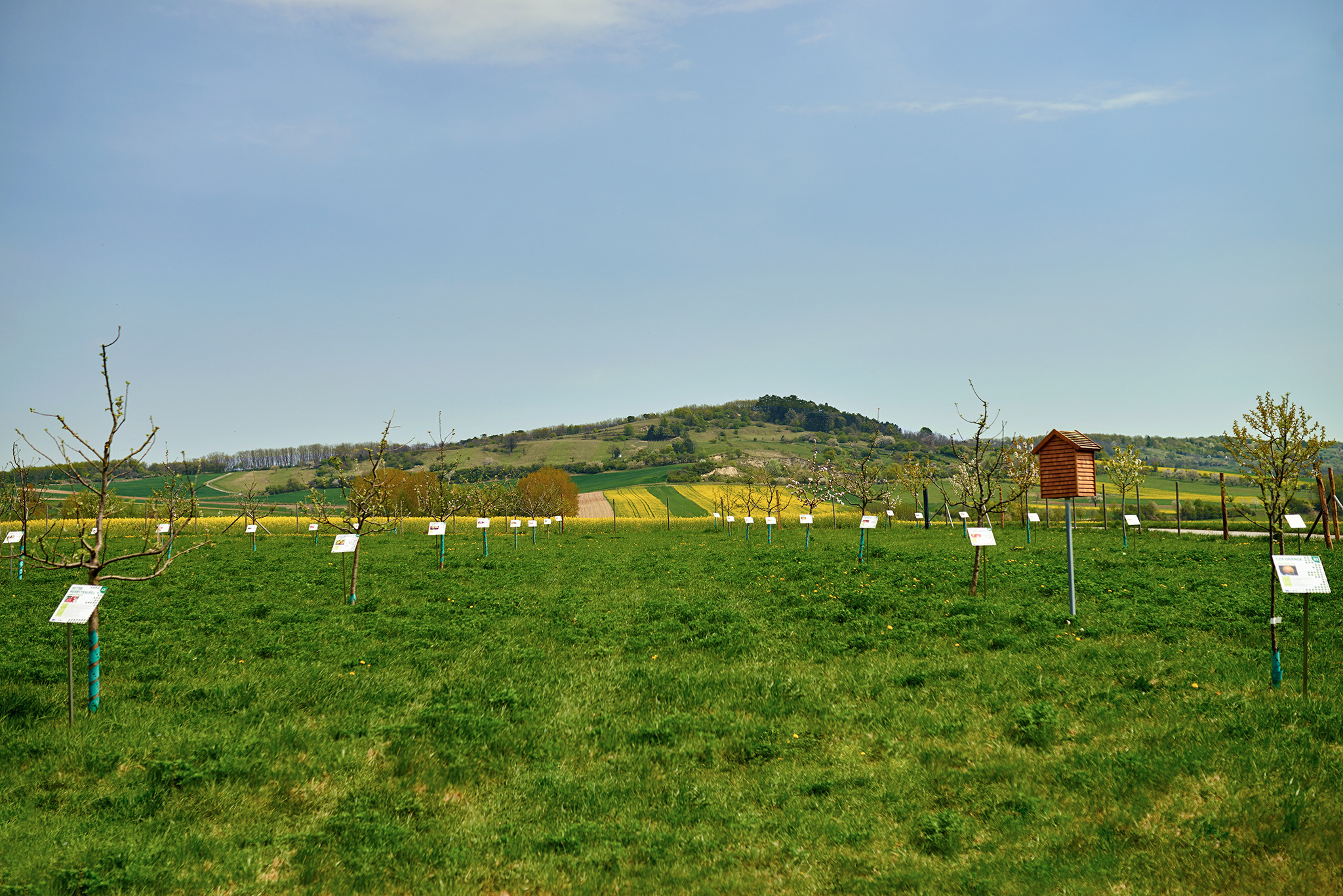 OBSTSCHAUGARTEN