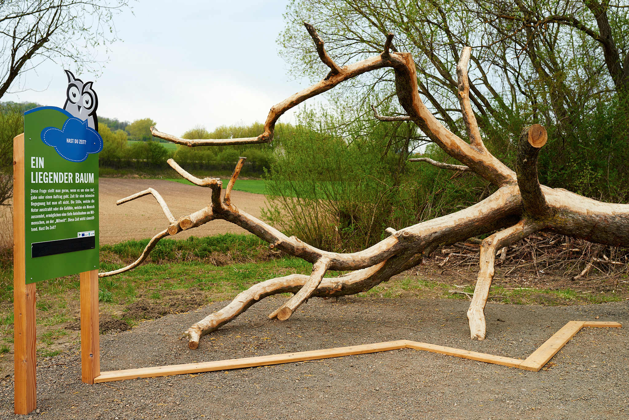 LIEGENDER BAUM