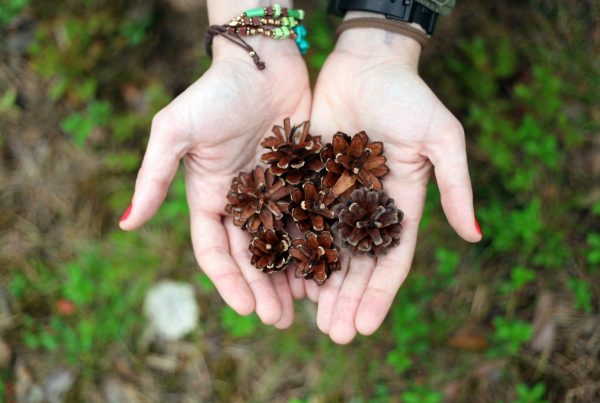 Flexible Naturparkerlebnisse & Geführte Entdeckungstouren // Individuell buchbar