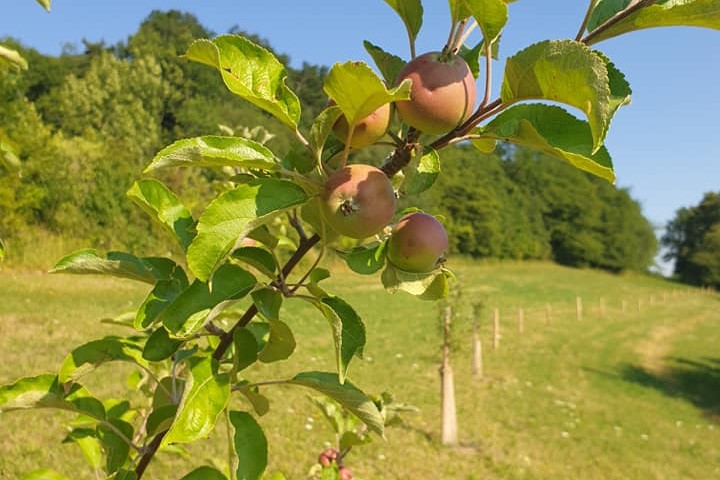 Der Naturpark- Biobetrieb startet am 1.1.2023!