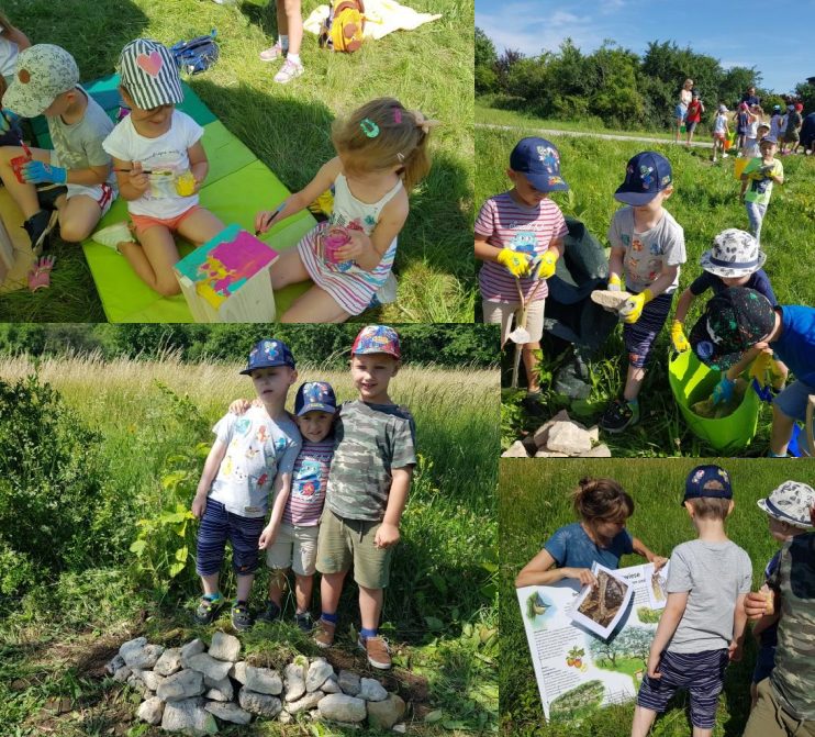 Grand Prix der Biodiverstität – Kindergartenprojekttage Rohrbach