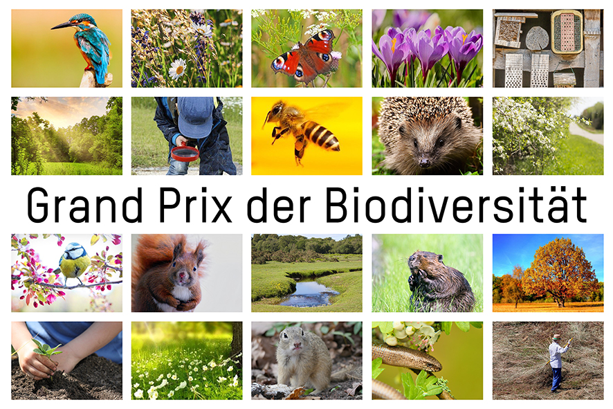 Grand Prix der Biodiverstität 2021 – Der Naturpark gehört zu den Gewinnern!
