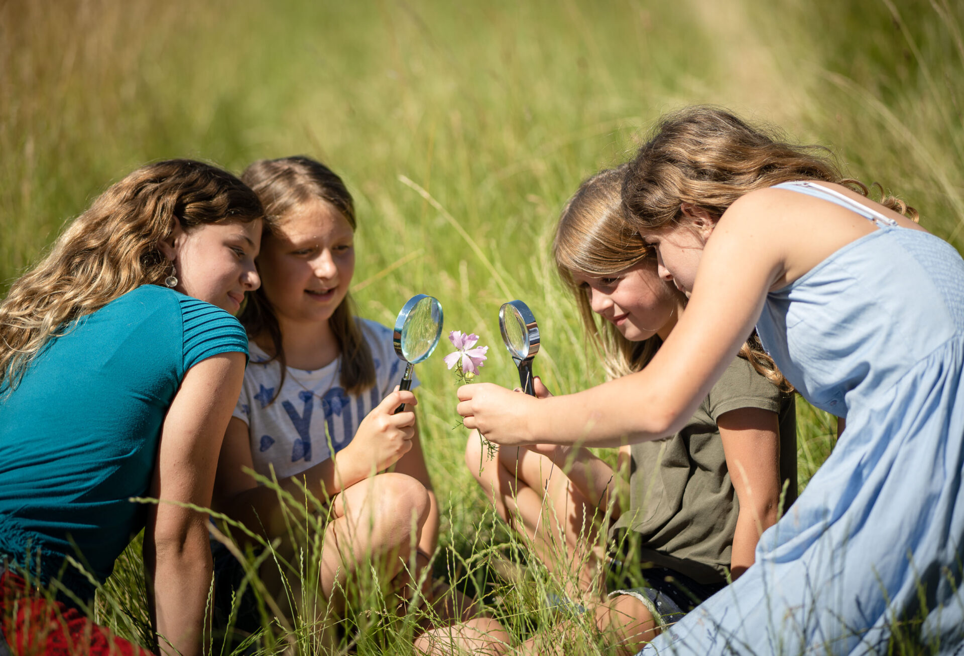 Blühendes Österreich – Naturpark Junior-Ranger