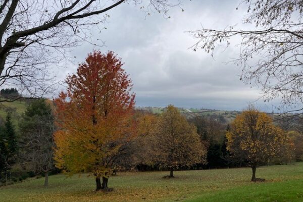 Herbstfoto