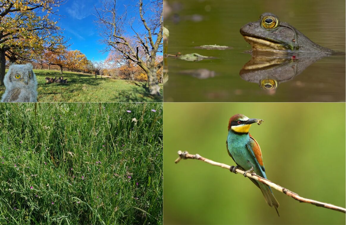 Landschaften voller Leben