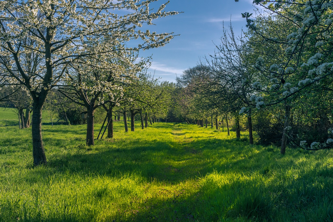 Naturpark Junior-RangerInnen im April 2025