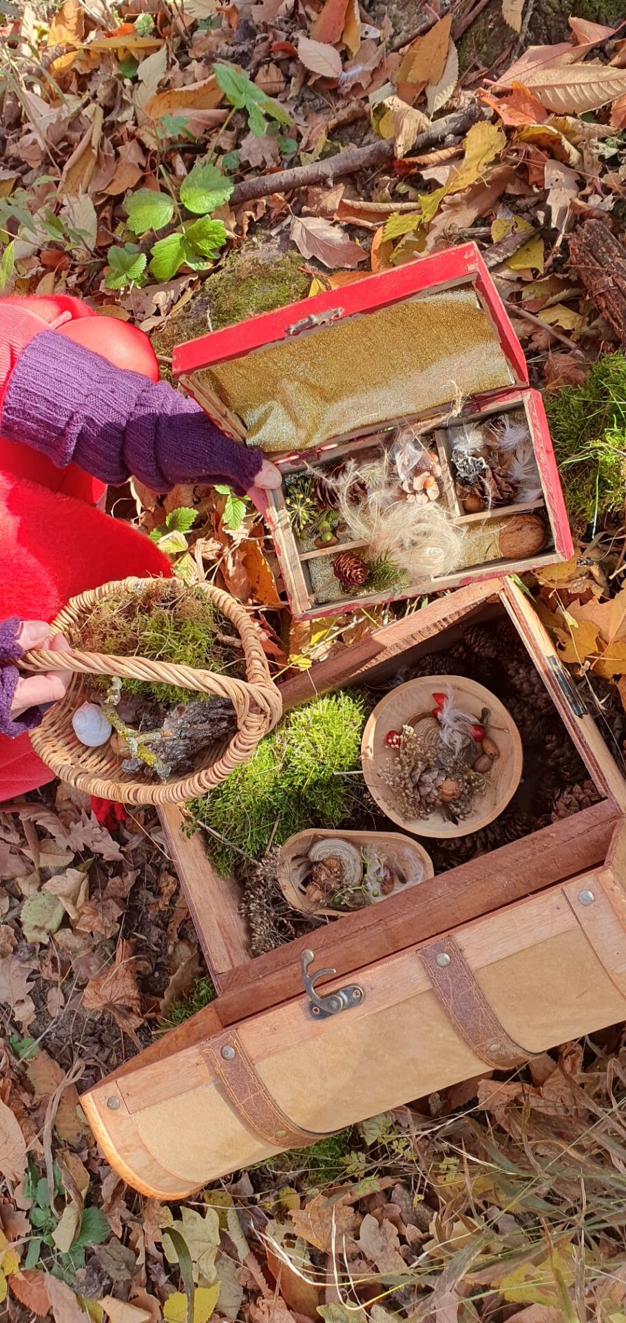 Smartguide „Natur ist magisch“ mit der „Kräuterhexe Uschi Zezelitsch“