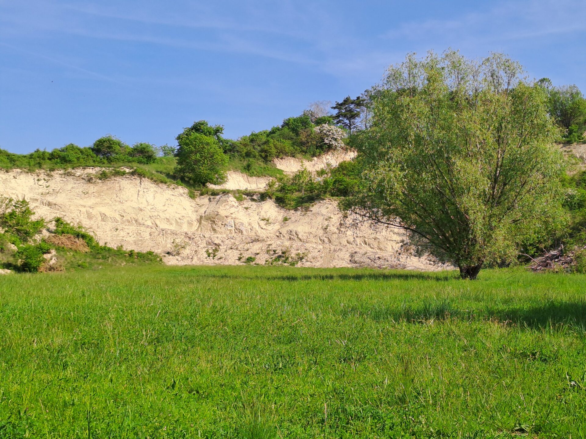 Bienenfresser – Workshop