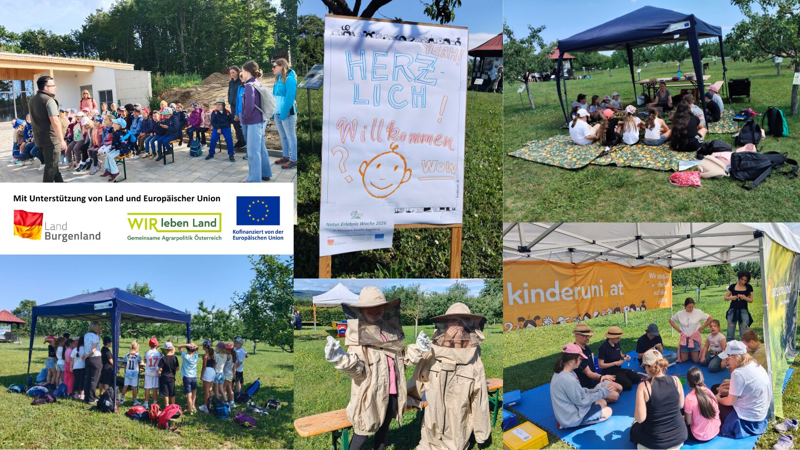 Natur.Erlebnis.Woche für Kindergärten und Schulen im Naturpark Rosalia-Kogelberg